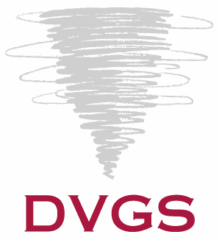 Das Bild Zeigt das Logo des deutschen Verbands für Gesundheitssport und Sporttherapie e. V. (DVGS)
